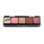 Graftobian Lipstick Palettes Lip Palettes Lip Gloss Palette (30292)  