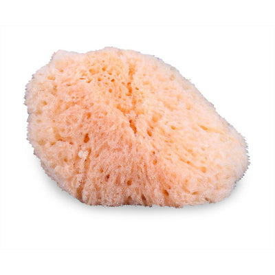 Mehron Natural Sea Sponge Applicator SFX Sponges   