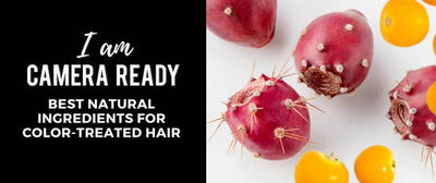 I AM CAMERA READY: 4 NATURAL SHAMPOO INGREDIENTS FOR COLORED-TREATED HAIR