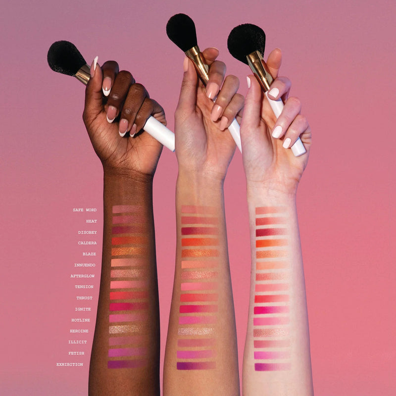 Blend Bunny Cosmetics Masterclass Pro Cheek Palette Blush Palettes