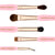 Bdellium Tools Pink Golden Triangle Eyes Set Eye Brushes
