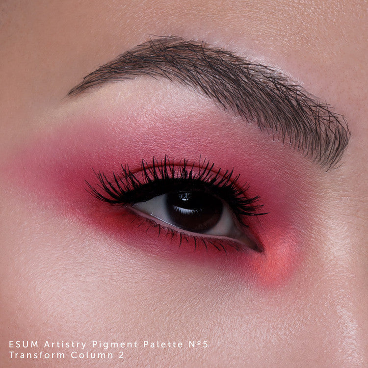 Esum The Artistry Pigment Palette - No5 Transform Eyeshadow Palettes