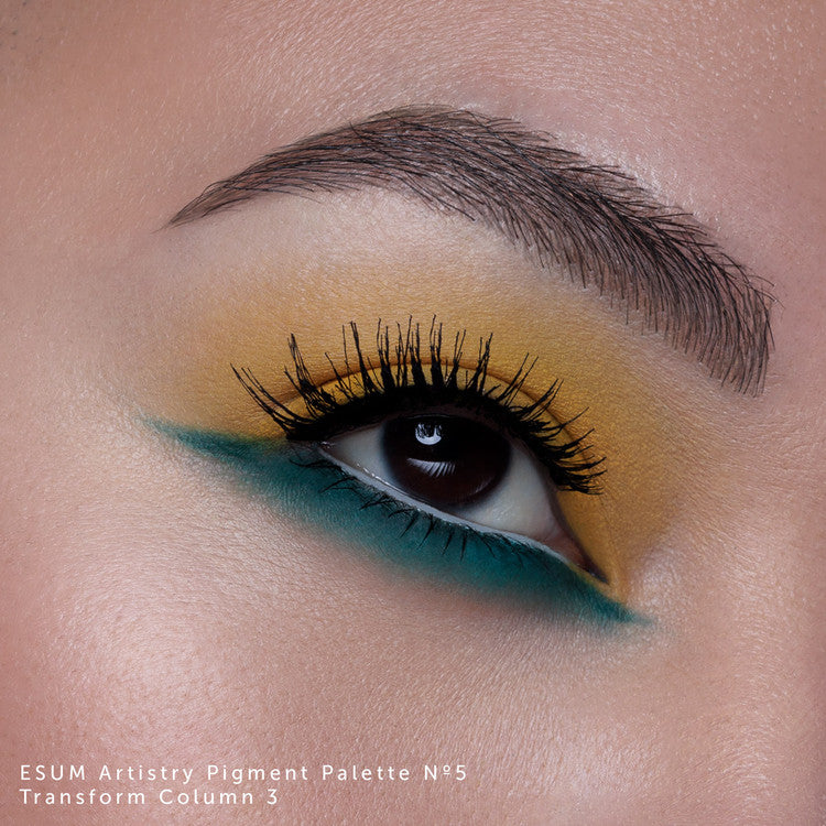 Esum The Artistry Pigment Palette - No5 Transform Eyeshadow Palettes