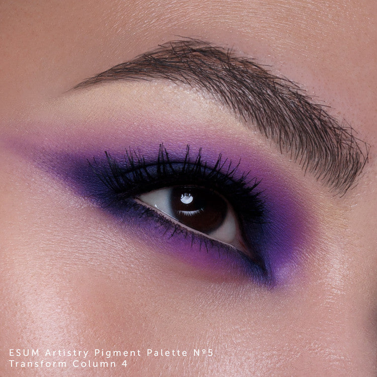 Esum The Artistry Pigment Palette - No5 Transform Eyeshadow Palettes