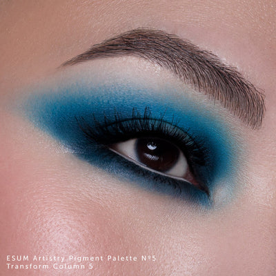 Esum The Artistry Pigment Palette - No5 Transform Eyeshadow Palettes