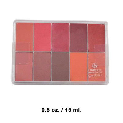 Maqpro Lip and Rouge Palette PP18 Lip Palettes 15ml  
