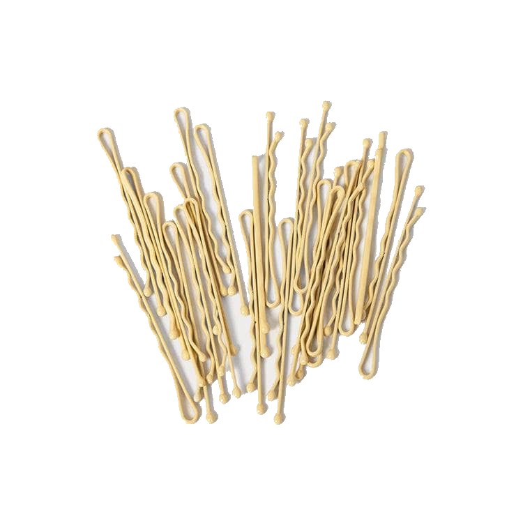 Insert Name Here BB Pins (25 Pack) Hair Tools Blonde  