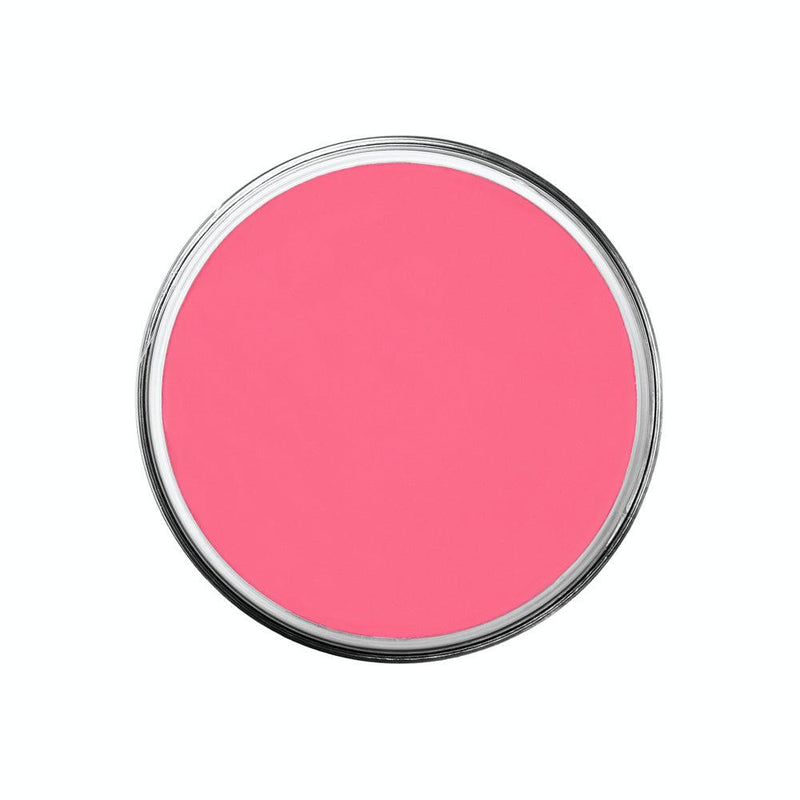 Ben Nye Professional Creme Series FX Palettes Bright Pink (FP-105)  