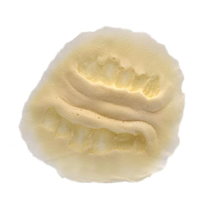 Rubber Wear Bite Mark #1 Foam Latex Prosthetic (FRW-085) Prosthetic Appliances   