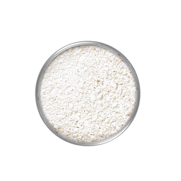 Kryolan Translucent Powder 20G Loose Powder TL 2  
